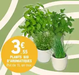 E.Leclerc Plants bio d'aromatiques offre