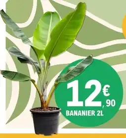 E.Leclerc Bananier offre