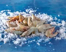 Auchan Sans marque gambas entières crues décongelées offre