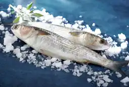 Auchan Sans marque mulet blanc ou sardine offre