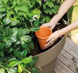 Auchan Deroma système d'irrigation aquado offre