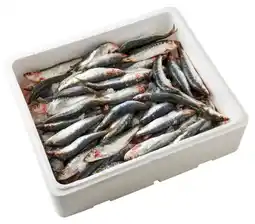 Auchan Supermarché Sardines offre