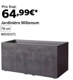 Costco Jardinière millenum offre