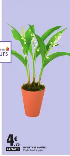 E.Leclerc Muguet pot 3 griffes offre
