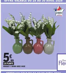 E.Leclerc Muguet 7 brins avec vase offre
