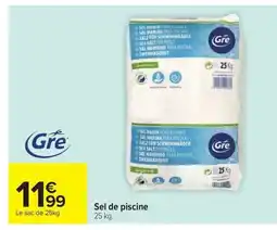 Carrefour Drive Sel de piscine offre