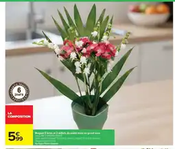 Carrefour Drive Muguet 5 brins et 2 ceillets de poète dans un grand vase offre