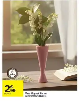 Carrefour Drive Vase Muguet 3 brins offre