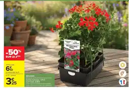 Carrefour Drive Géranium offre