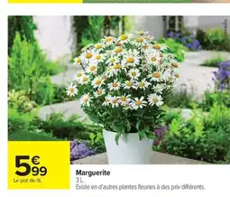 Carrefour Drive Marguerite offre