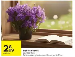 Carrefour Drive Plantes fleuries offre