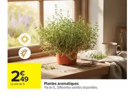 Carrefour Drive Plantes aromatiques offre