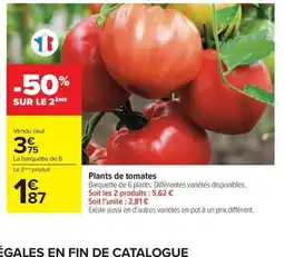 Carrefour Drive Plants de tomates offre