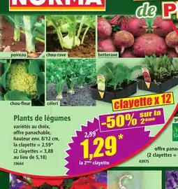 Norma Plants de légumes offre