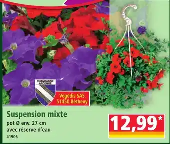 Norma Suspension mixte offre
