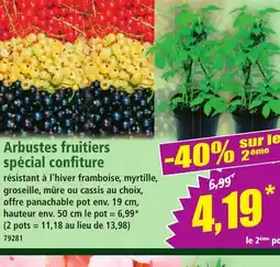 Norma Arbustes fruitiers spécial confiture offre