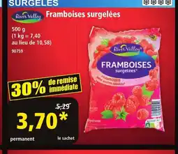 Norma RIVER VALLEY Framboises surgelées offre