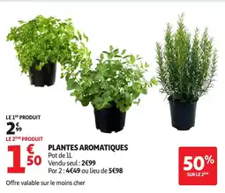 Auchan Plantes aromatiques offre