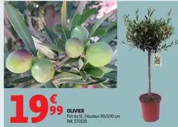 Auchan Olivier offre