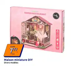 Action DIY Maison miniature offre