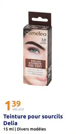 Action DELIA Teinture pour sourcils offre