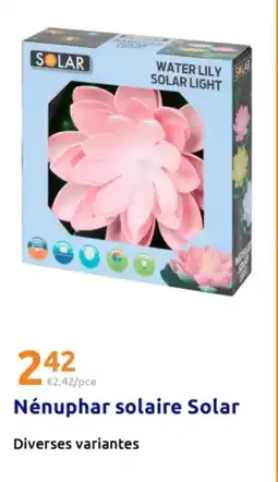 Action SOLAR Nénuphar solaire offre