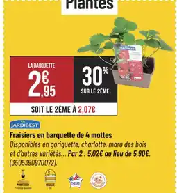 Bricorama JARDIBEST Fraisiers en barquette de 4 mottes offre