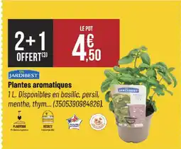 Bricorama JARDIBEST Plantes aromatiques offre