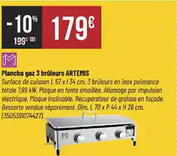 Bricorama Plancha gaz 3 brûleurs artemis offre