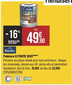 Bricorama RIPOLIN Peinture extreme bois offre