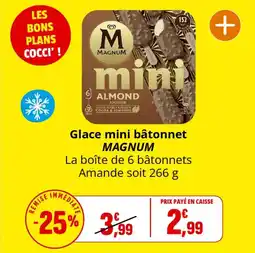 Coccinelle Express MAGNUM Glace mini bâtonnet offre