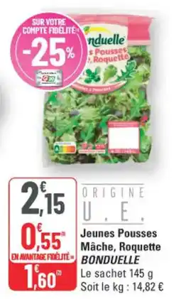 G20 Jeunes pousses mâche roquette bonduelle offre