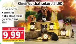 Norma Chien ou chat solaire à led offre