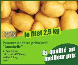 Norma Pommes de terre primeurs annabelle offre