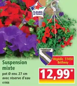 Norma Suspension mixte offre