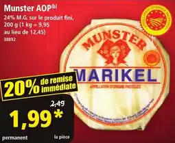 Norma Munster aop offre