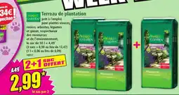 Norma Terreau de plantation offre