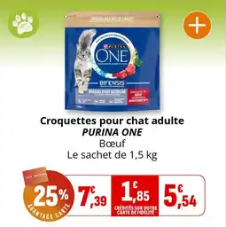 Coccinelle Express PURINA ONE Croquettes pour chat adulte offre