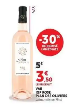 Hyper U VAR IGP Rose Plan des Oliviers offre