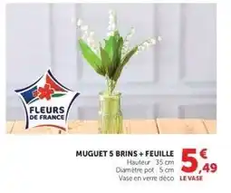 Hyper U MUGUET 5 BRINS + FEUILLE offre