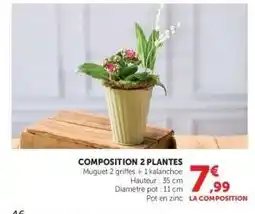 Hyper U Composition 2 Plantes offre