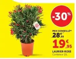 Hyper U Laurier rose offre
