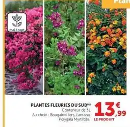Hyper U PLANTES FLEURIES DU SUD offre