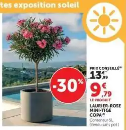 Hyper U LAURIER-ROSE MINI-TIGE COPA offre