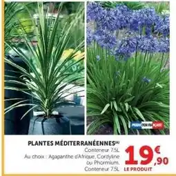 Hyper U PLANTES MÉDITERRANÉENNES offre
