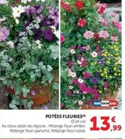Hyper U POTÉES FLEURIES offre