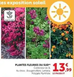Super U PLANTES FLEURIES DU SUD offre