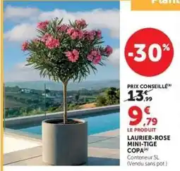Super U LAURIER-ROSE MINI-TIGE COPA offre