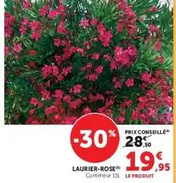Super U Laurier rose offre