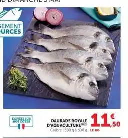 Super U DAURADE ROYALE D'AQUACULTURE offre